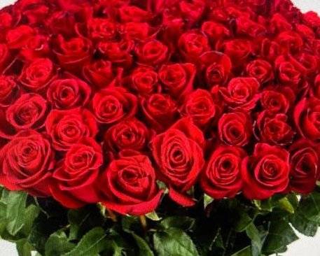 Order 50 Red Roses Long Stem Huge Bouquet food online from 800 Rose Big Florist Gifts & Desserts store, Newport Beach on bringmethat.com