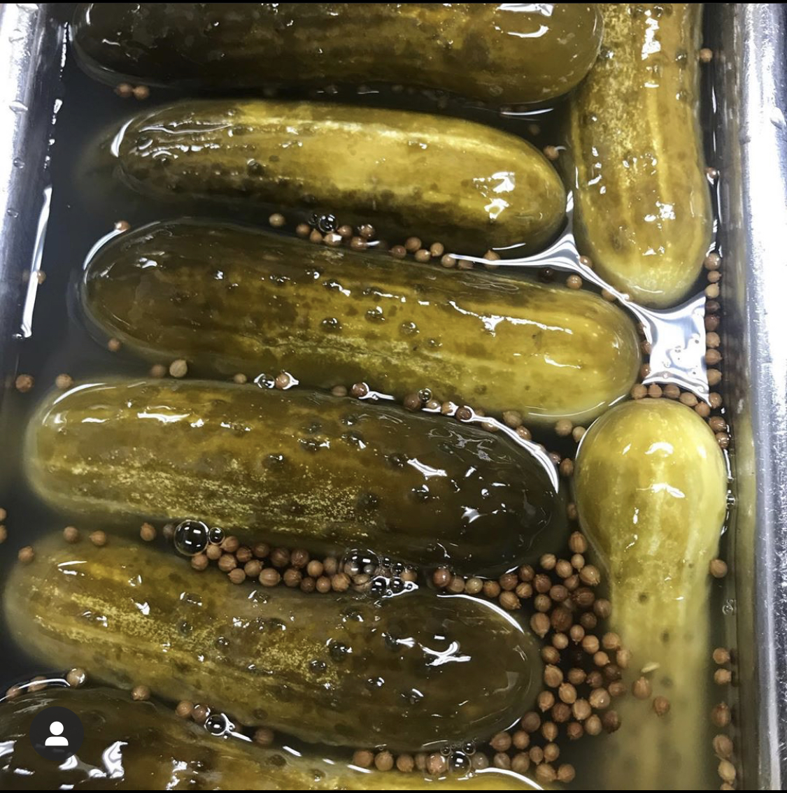 Order Sour Pickle by Mr. Pickle  food online from Max Bialystok & Company store, Long Beach on bringmethat.com