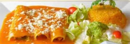 Order Enchiladas Tapatias food online from Don Tequila Mexican Grill store, Powell on bringmethat.com