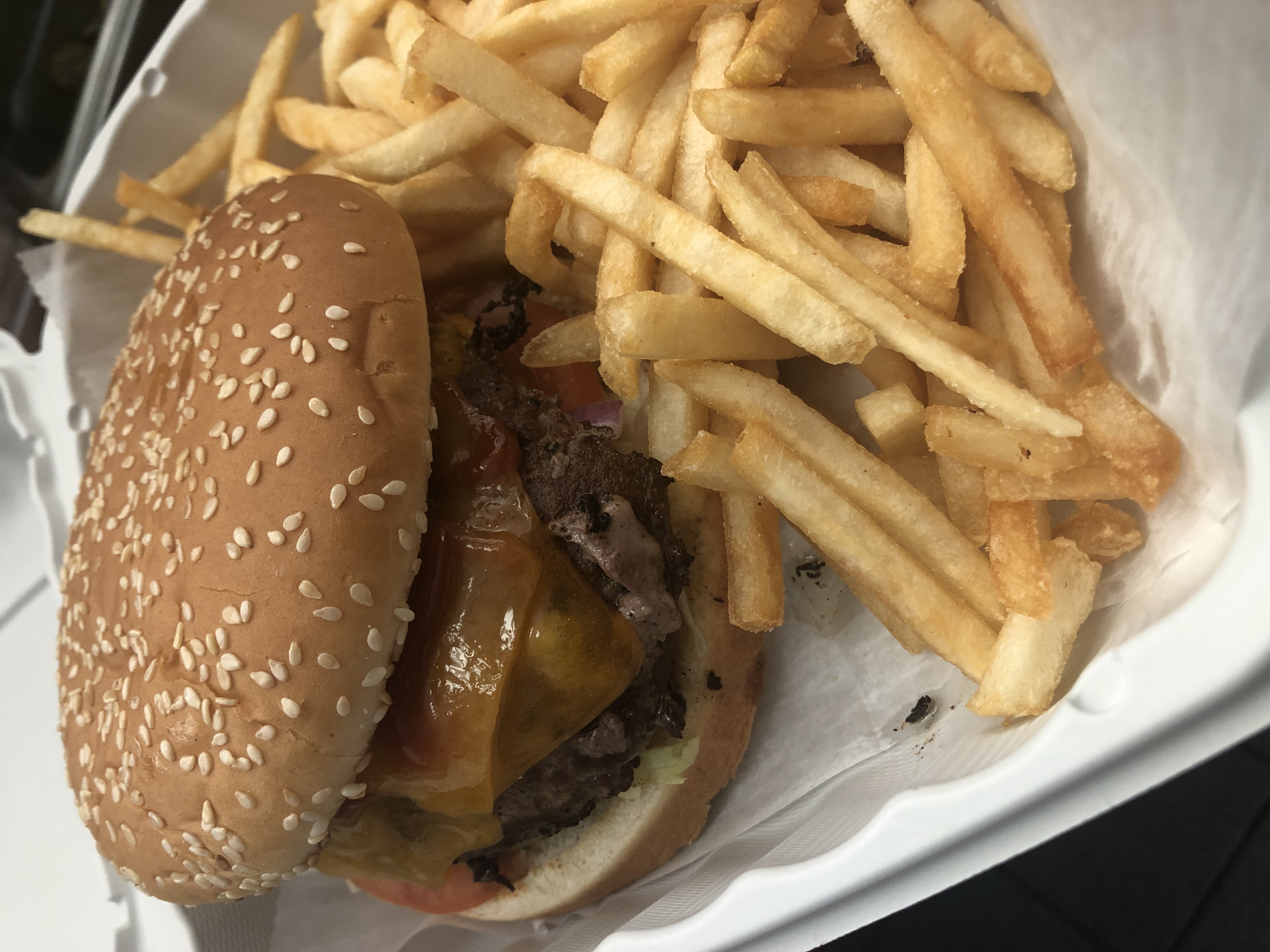 Order Cheeseburger Combo with Fries food online from Gregory House Of Pizza store, Belmont on bringmethat.com