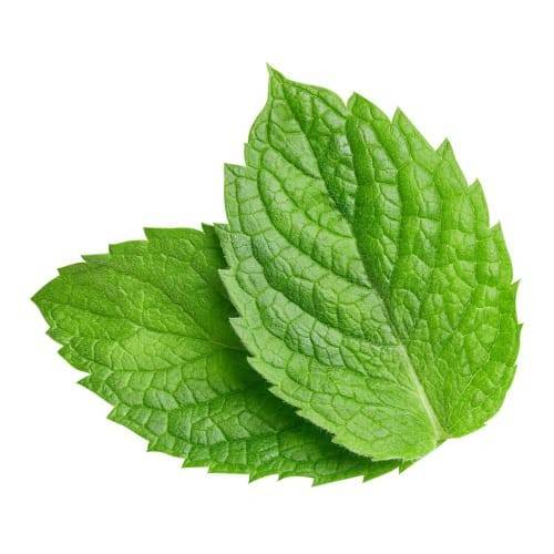 Order Organic Mint (1 bunch) food online from Safeway store, Tahoe City on bringmethat.com
