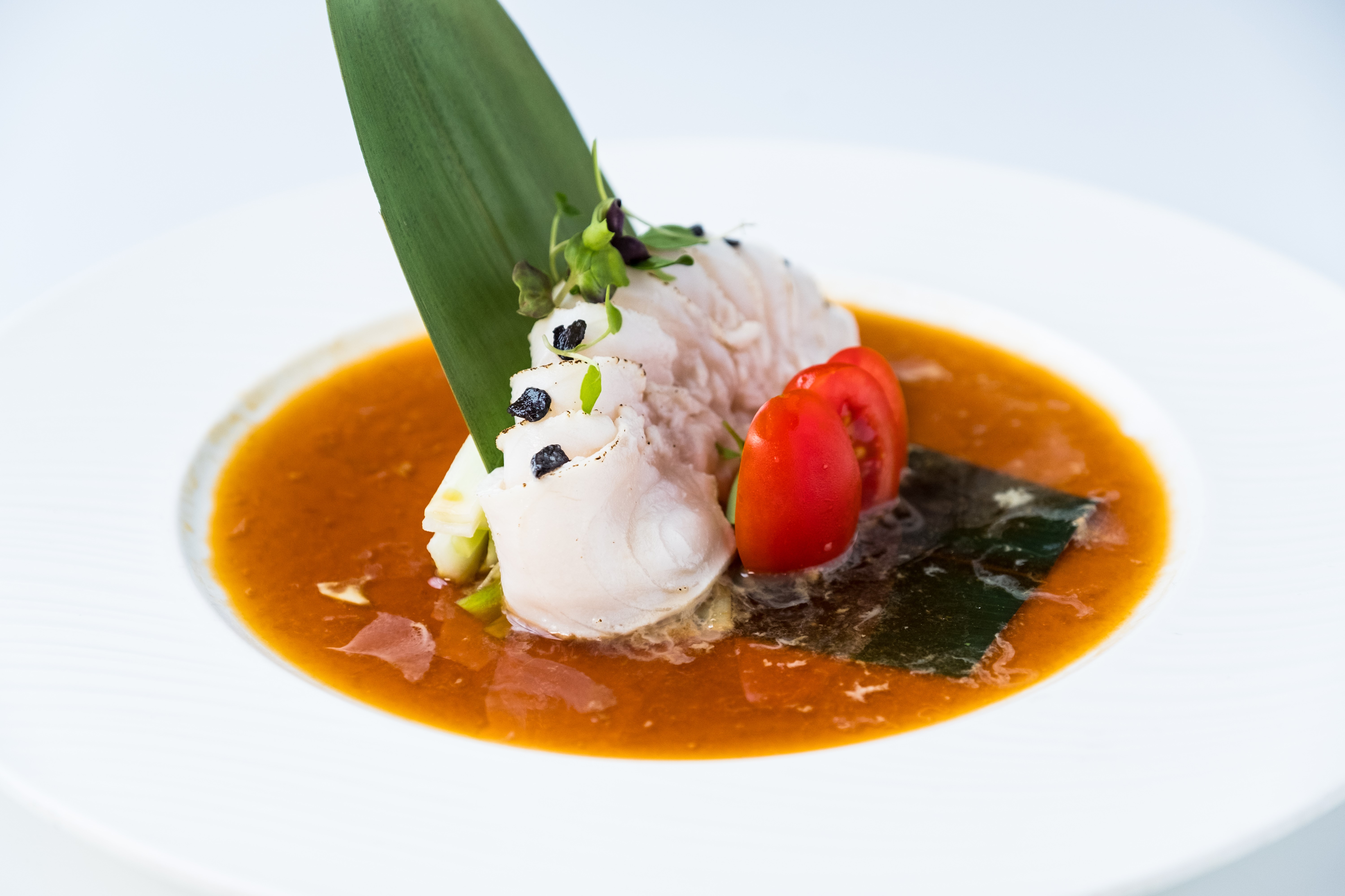 Order White Tuna Truffle food online from Nisen Sushi store, Commack on bringmethat.com
