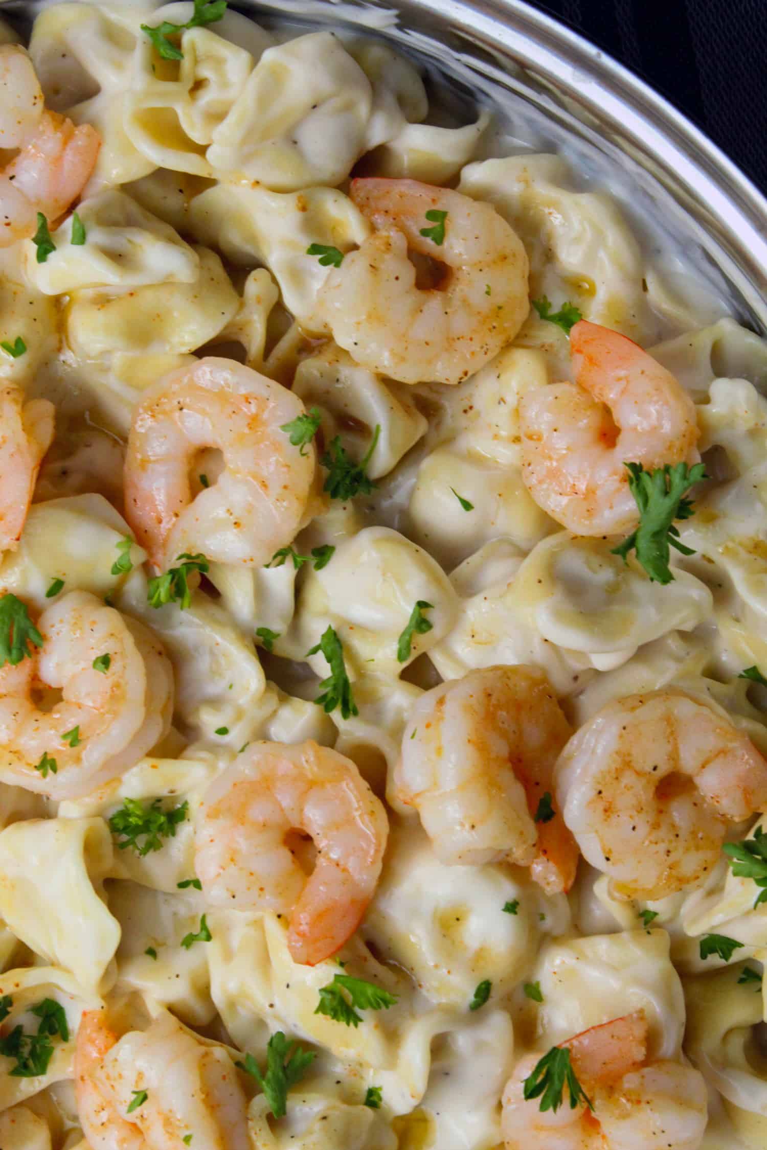 Order Tri-Colored Tortellini Alfredo with Shrimp food online from New York Pizza & Family Restaurant store, Tannersville on bringmethat.com
