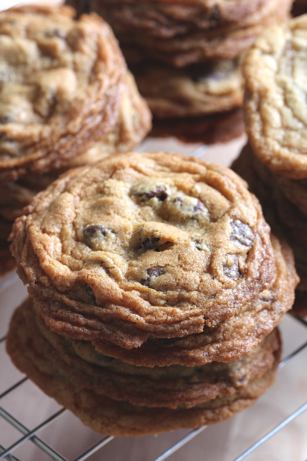 Order Large Chocolate chip cookie  food online from Smoothie Run store, Phoenix on bringmethat.com