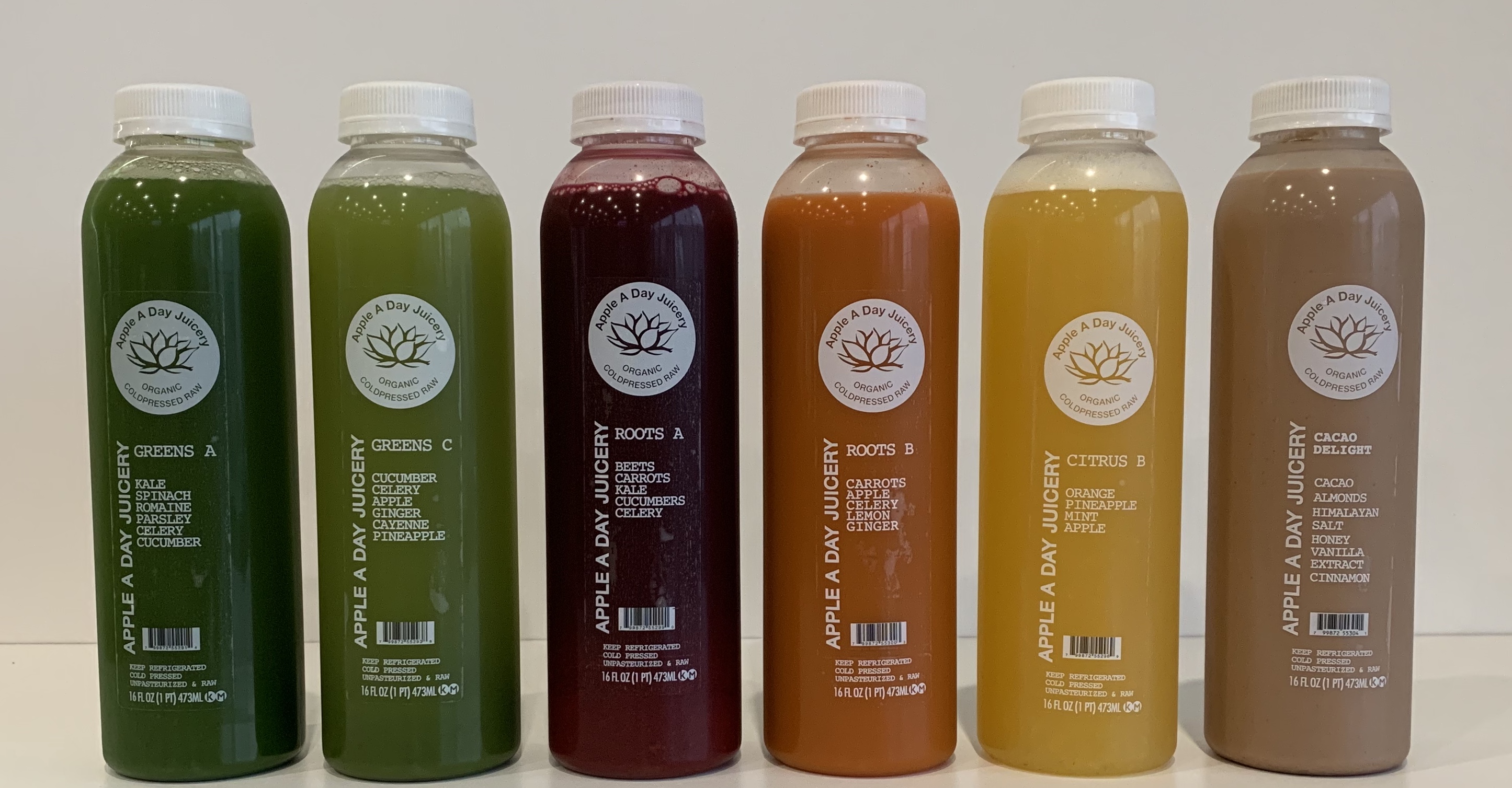 Order 1 Day Cleanse food online from Apple A Day Cafe store, Miami Beach on bringmethat.com