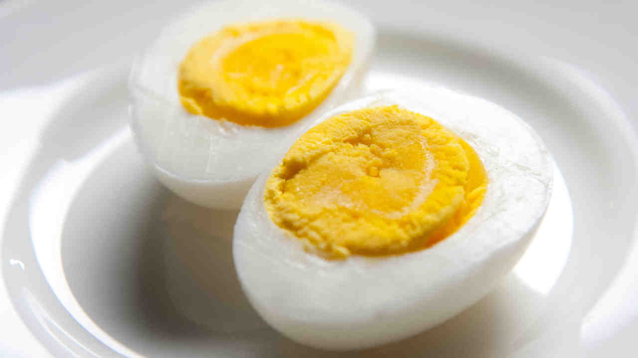 Order One Boiled Egg food online from Tastee Grill store, San Mateo on bringmethat.com