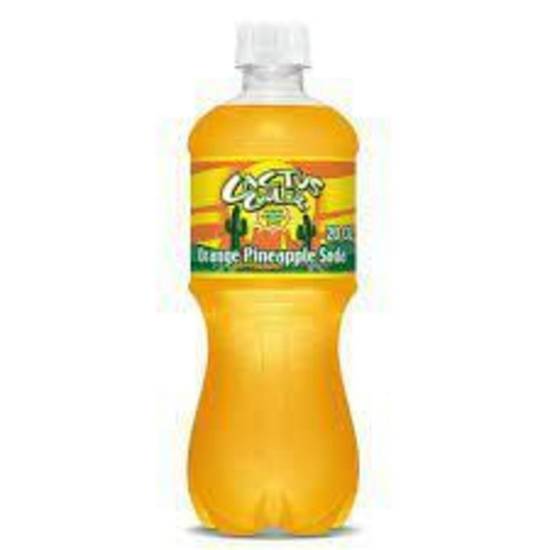 Order Cactus Cooler 20 Oz Bottle food online from IV Deli Mart store, Goleta on bringmethat.com
