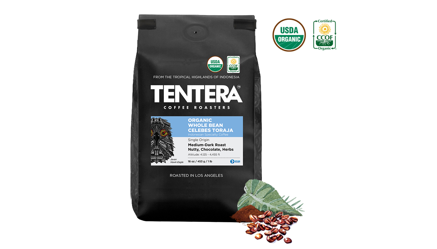Order Celebes Toraja Indonesian 1 pound (Nutty, Chocolate) food online from Tentera Coffee Roasters store, Los Angeles on bringmethat.com