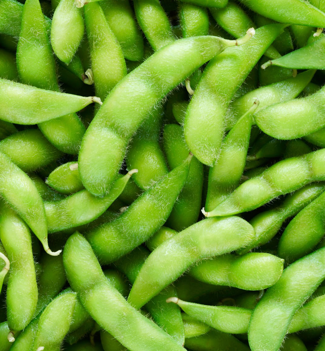 Order Edamame food online from Pacific Restaurant store, Huntington Park on bringmethat.com