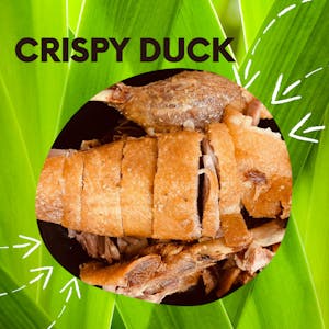 Order 16. Crispy Duck (Half) food online from Andorra Ping Pong Restaurant store, Philadelphia on bringmethat.com