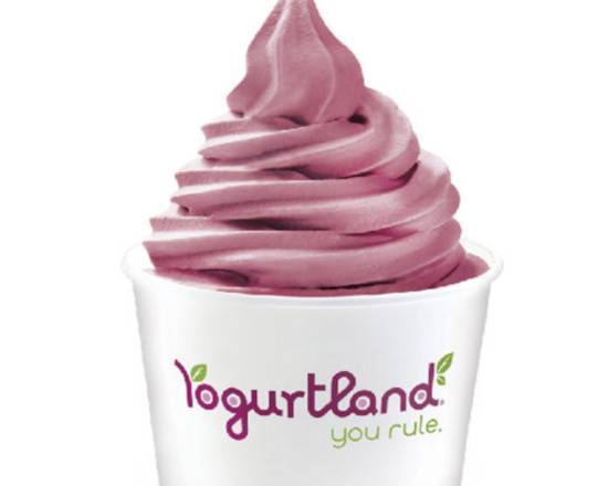 Order 2 Mix Flavors food online from Yogurtland store, Cupertino on bringmethat.com