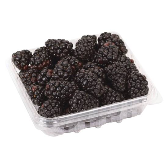 Order Blackberries 6oz food online from Everyday Needs by Gopuff store, Waltham on bringmethat.com