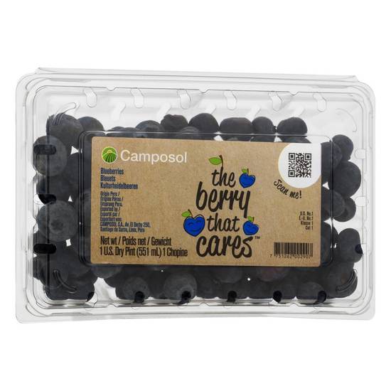 Order Camposol · Blueberries (19.5 oz) food online from ACME Markets store, Middletown on bringmethat.com