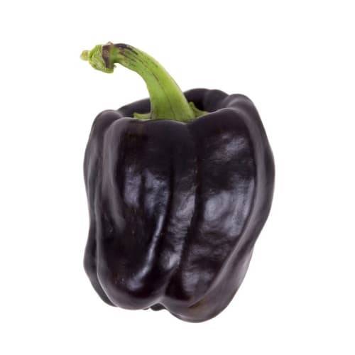 Order Purple Bell Peppers (1 bell pepper) food online from Safeway store, Grass Valley on bringmethat.com