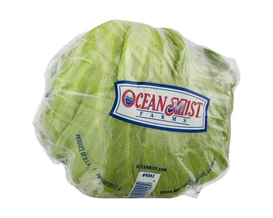 Order Ocean Mist · Lettuce (1 ct) food online from Shaw's store, Windham on bringmethat.com