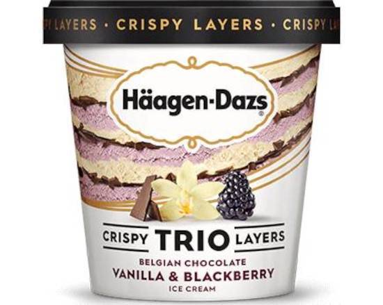 Order Häagen-Dazs Pint - Vanilla Blackberry food online from Ice Cream & More Anaheim store, Anaheim on bringmethat.com