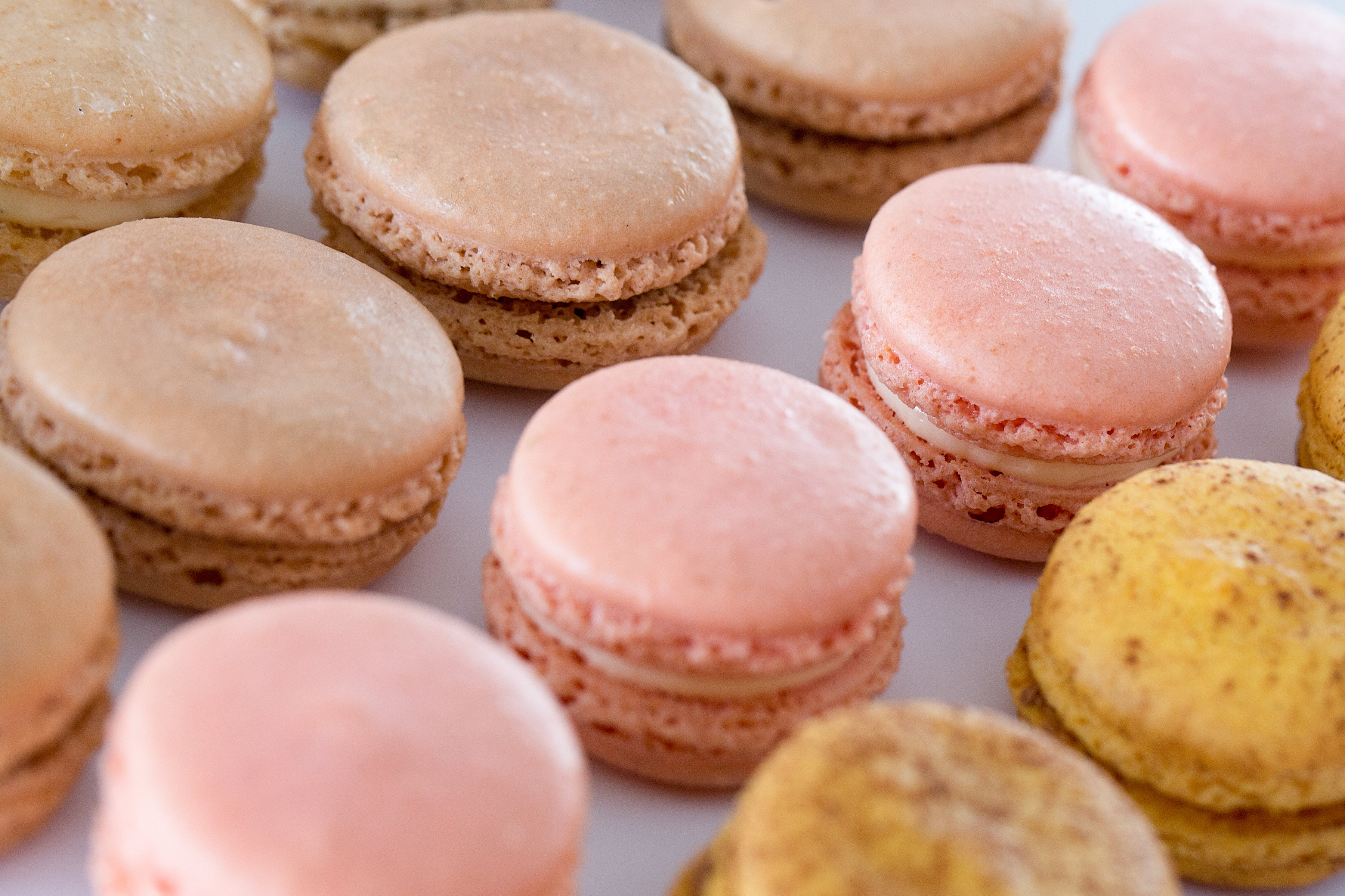 Order Box of 24 Macarons food online from Le Macaron French Pastries store, Doylestown on bringmethat.com