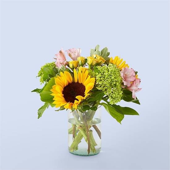 Order Butterfly Kisses food online from Pro Flowers store, CRIDERSVILLE on bringmethat.com