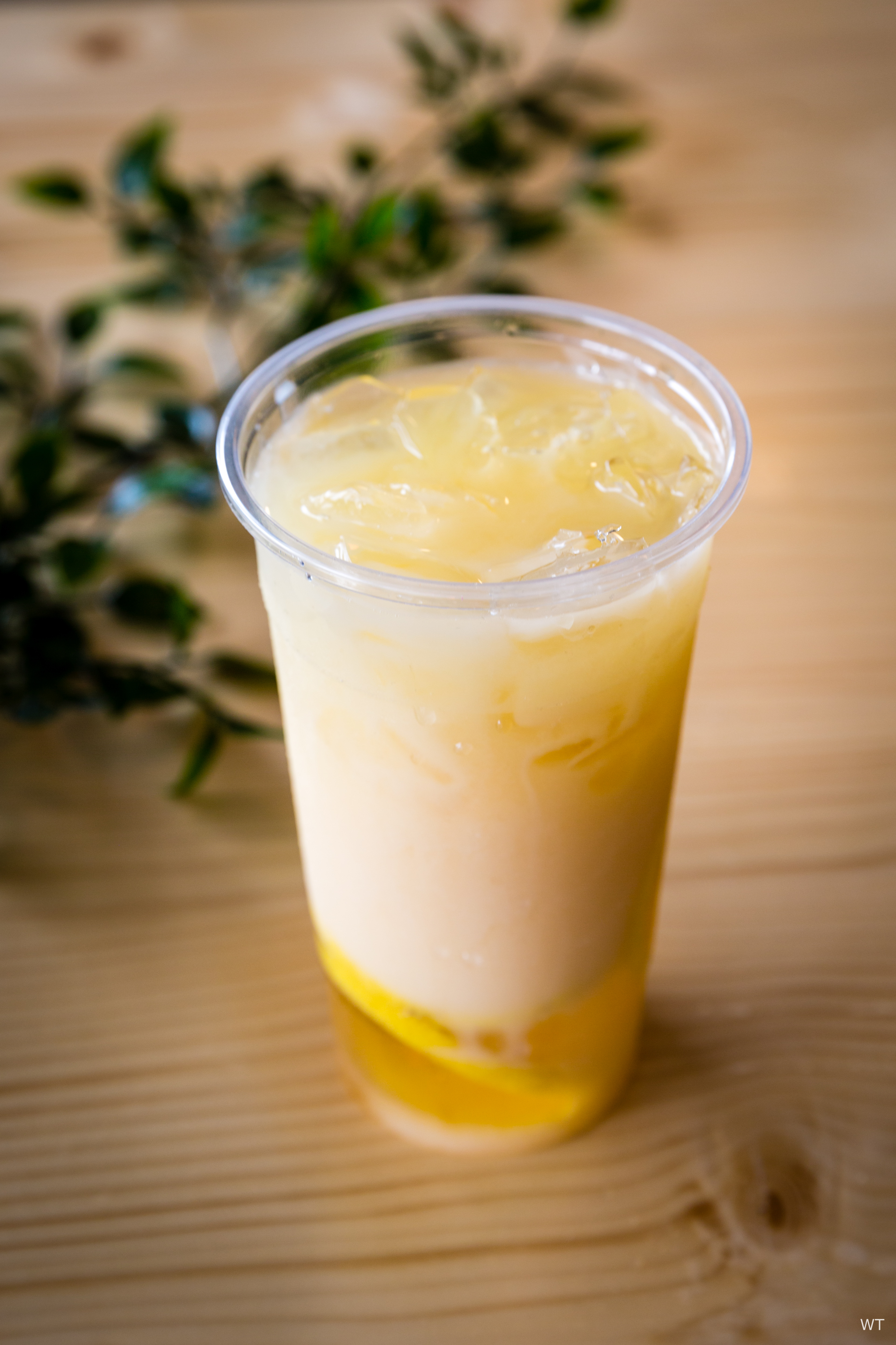 Order Yakult Lemon Tea 柠檬养乐多 food online from Ten Seconds store, Bellevue on bringmethat.com
