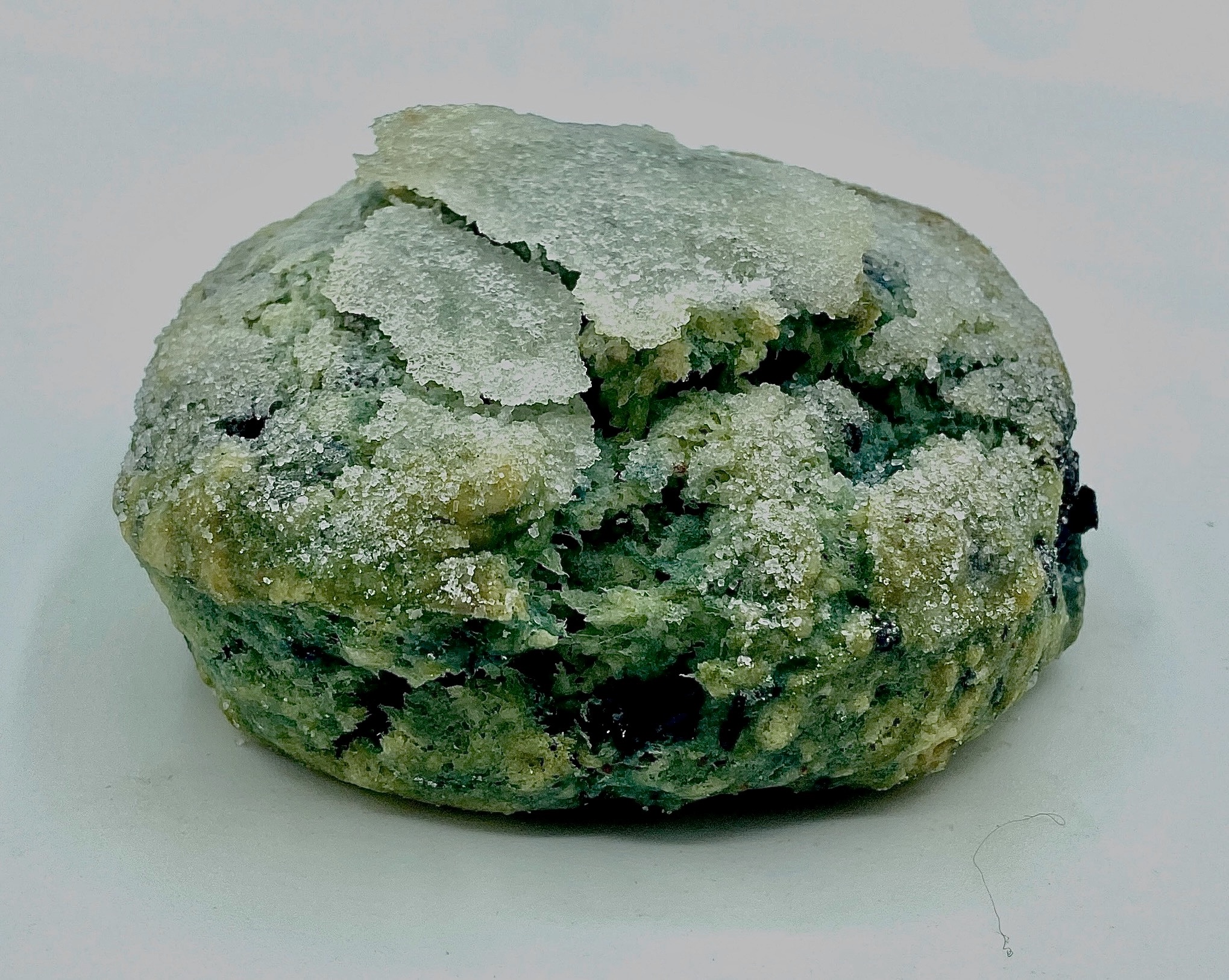 Order Blueberry Scone food online from Rolling Pin Cafe store, Westwood on bringmethat.com