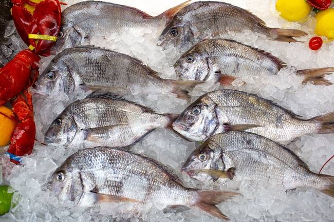 Order Wild Caught Porgie food online from Bailey Seafood store, Buffalo on bringmethat.com
