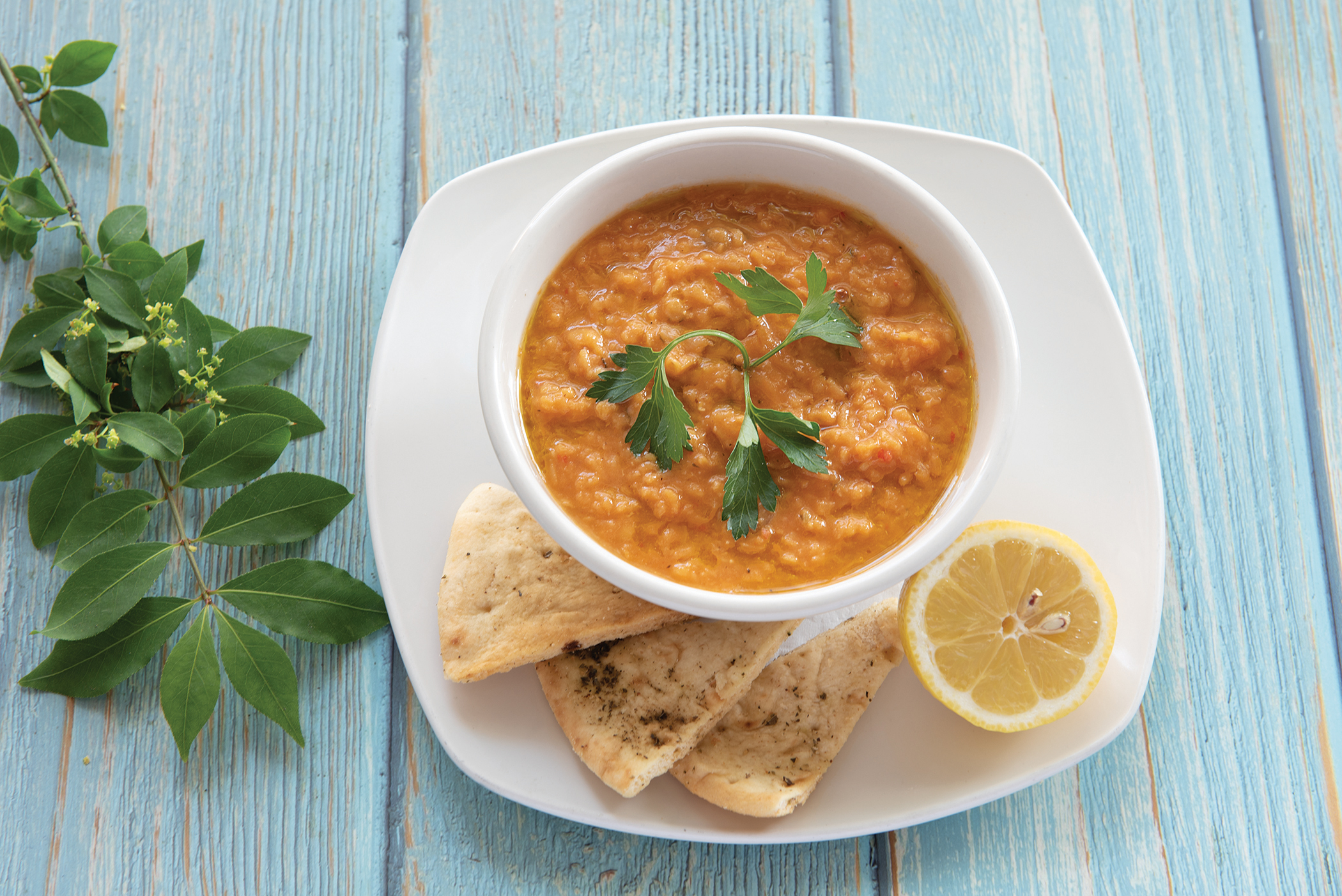 Order Red Lentil Soup food online from Yummy Gyro store, Willston Park on bringmethat.com