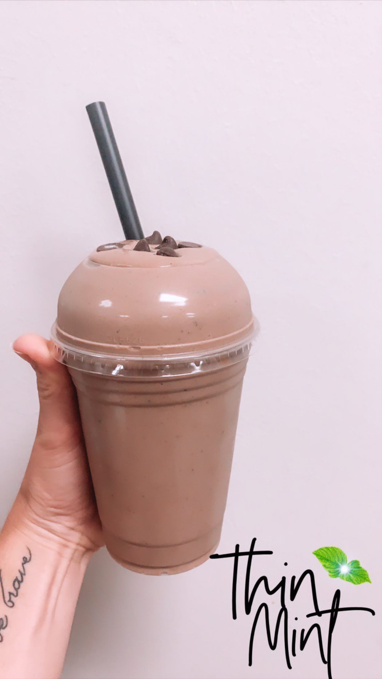 Order Mint Chocolate Shakes food online from East Dearborn Nutrition store, Dearborn on bringmethat.com