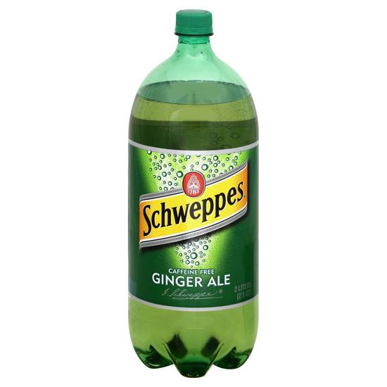 Order Schweppes Ginger Ale (2 L) food online from Rite Aid store, DEPEW on bringmethat.com