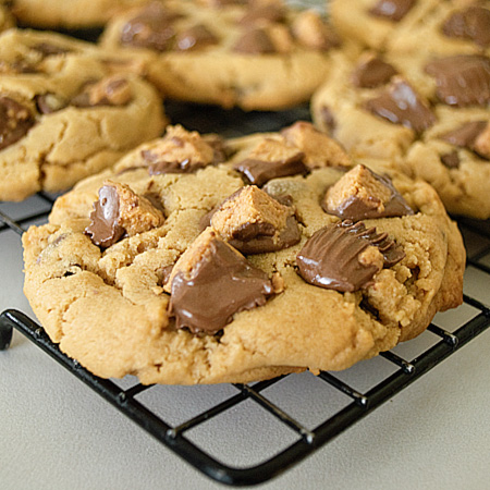 Order Giant Chocolate chip cookie food online from Piemonte Pizza & Grill store, Providence on bringmethat.com
