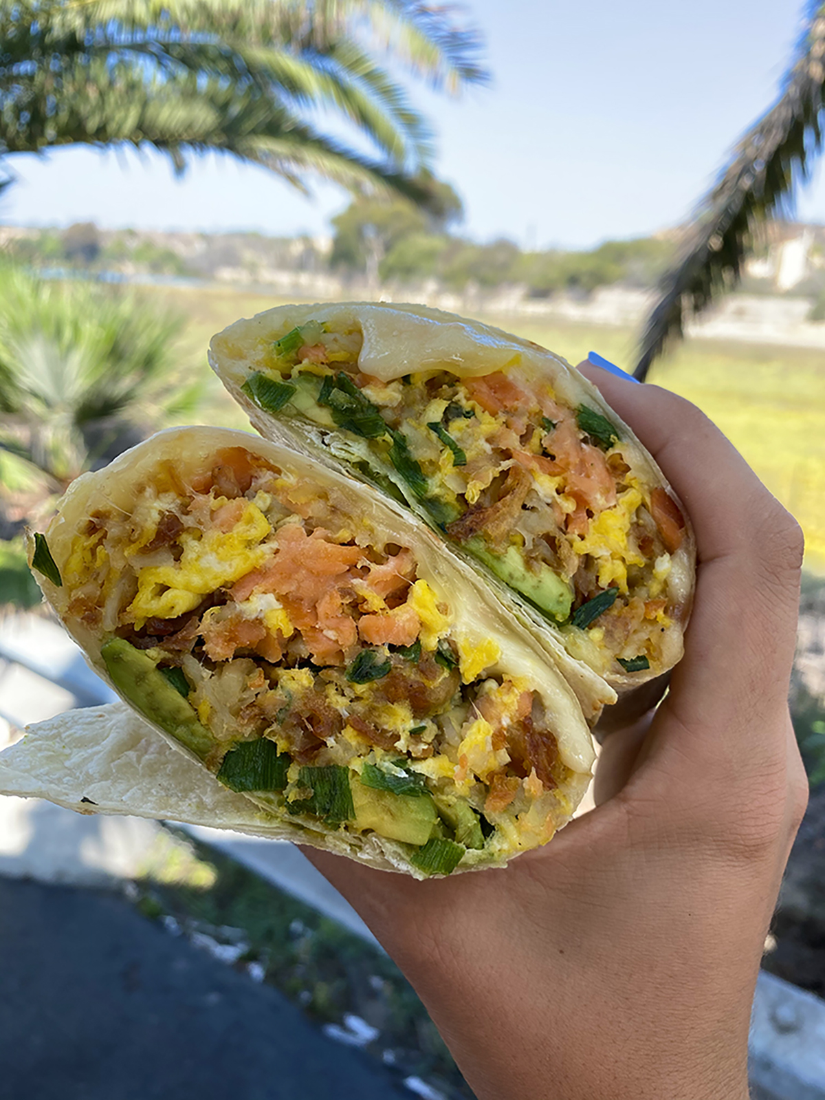 Order Beach Burrito food online from Cappy's Cafe store, Newport Beach on bringmethat.com