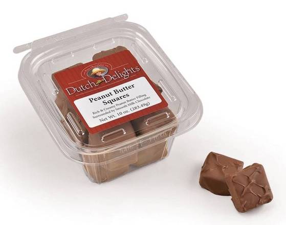 Order Dutch Delights -  Peanut butter Squares-  Tub- (10oz) food online from Darn Cheap Discounts store, Hartville on bringmethat.com