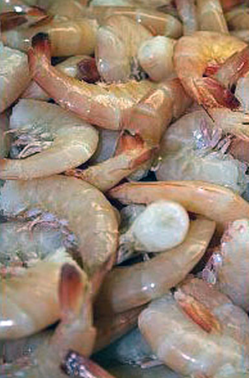 Order Shell-on White Shrimp food online from Dixon Seafood Shoppe store, Peoria on bringmethat.com
