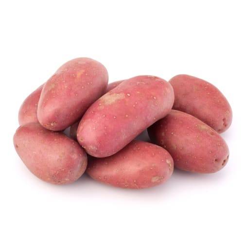 Order Red Potatoes (1 bag) food online from Winn-Dixie store, Quincy on bringmethat.com