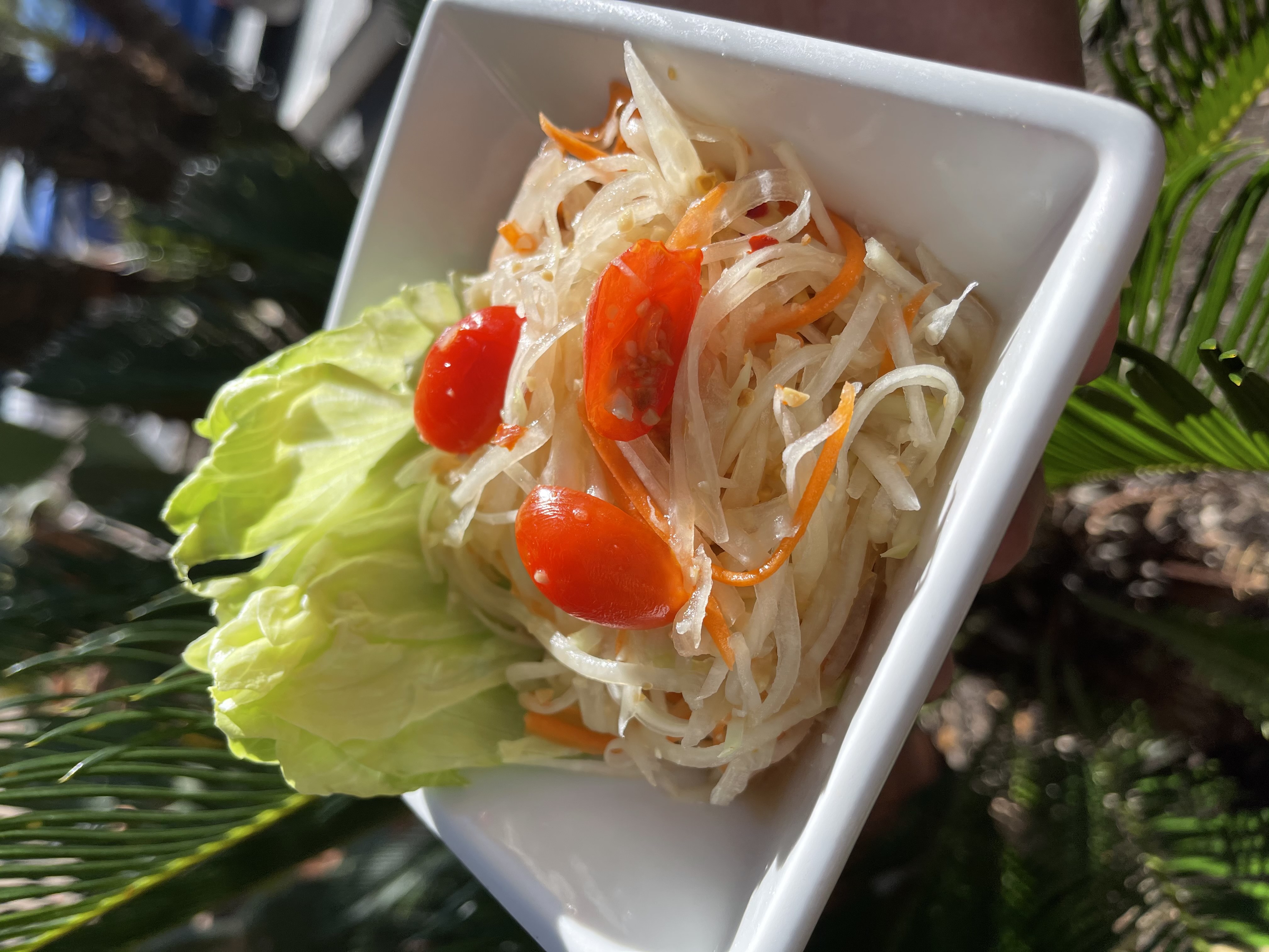 Order Som Tum (Thai Papaya Salad) food online from Thai Topaz store, San Antonio on bringmethat.com
