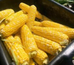 Order Corn on the Cob food online from Captain Porky store, Wadsworth on bringmethat.com