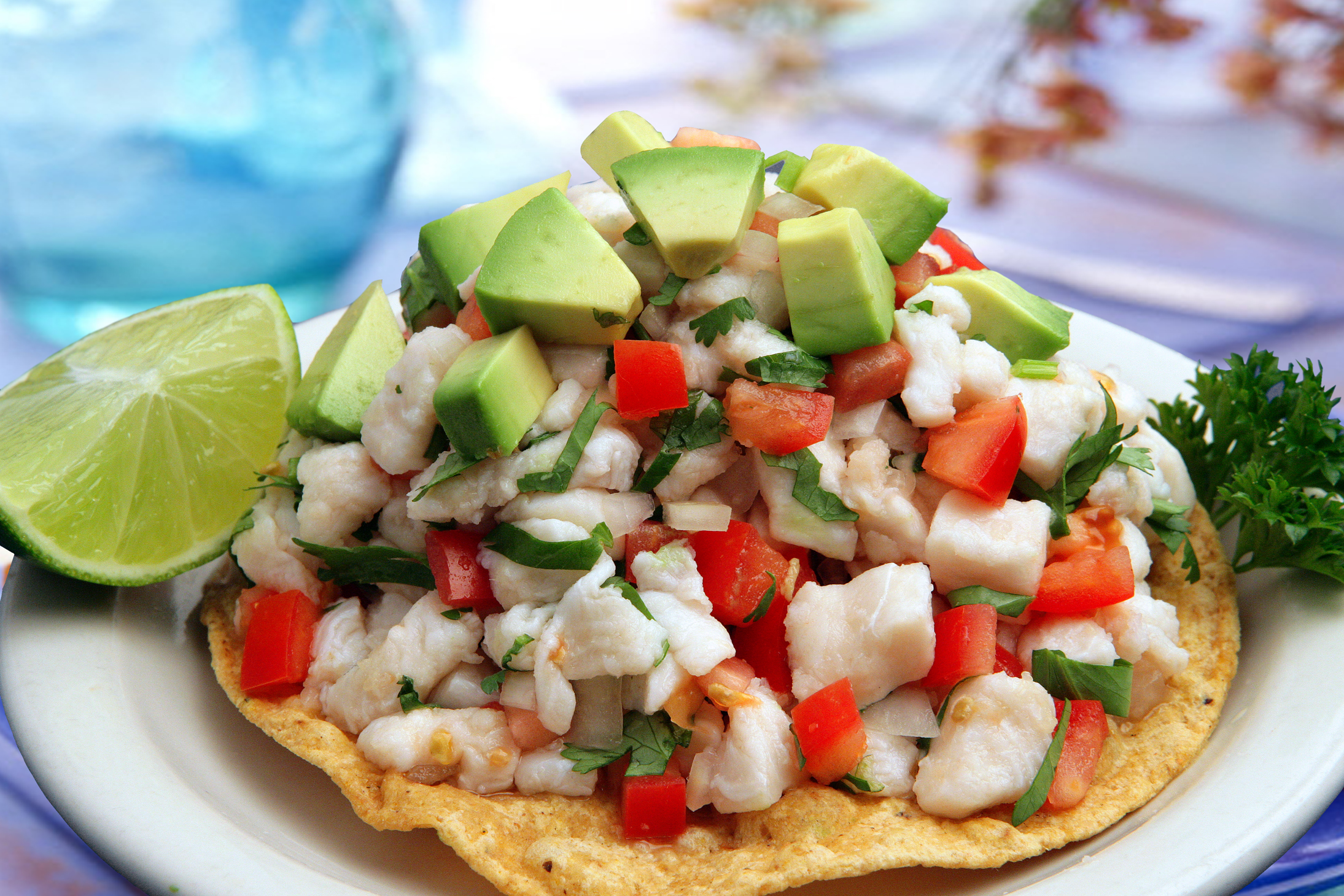 Order Fish Ceviche Tostada food online from Limon Y Sal store, Ventura on bringmethat.com