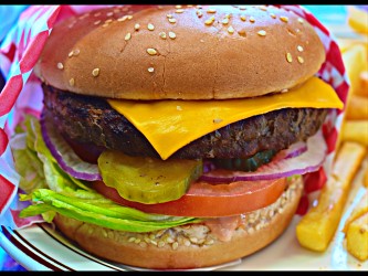 Order Cheese Burger food online from Jim's Burgers #2 store, Wilmington on bringmethat.com