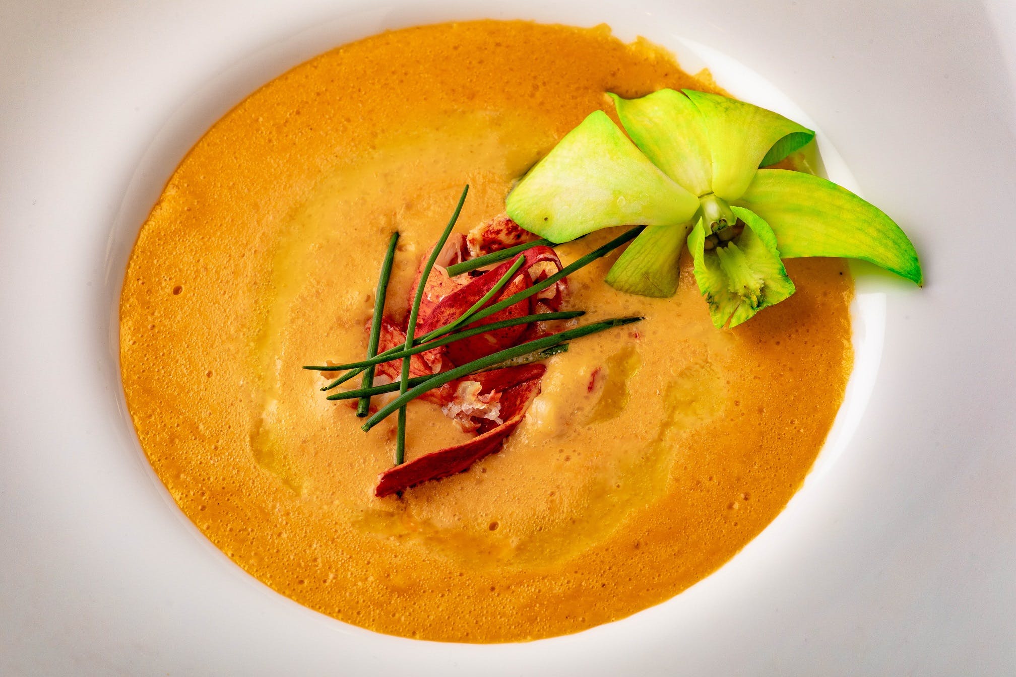 Order Lobster Bisque Soup - Soups food online from Chazz Palminteri Italian Restaurant store, White Plains on bringmethat.com