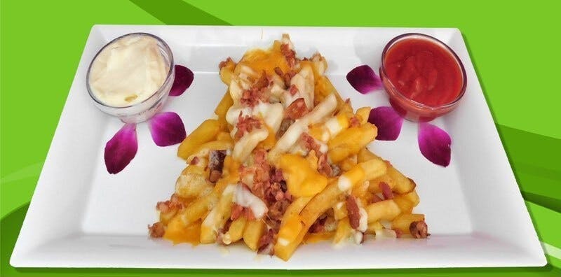 Order Mega Fries - Appetizer food online from Pizza Express store, Trenton on bringmethat.com