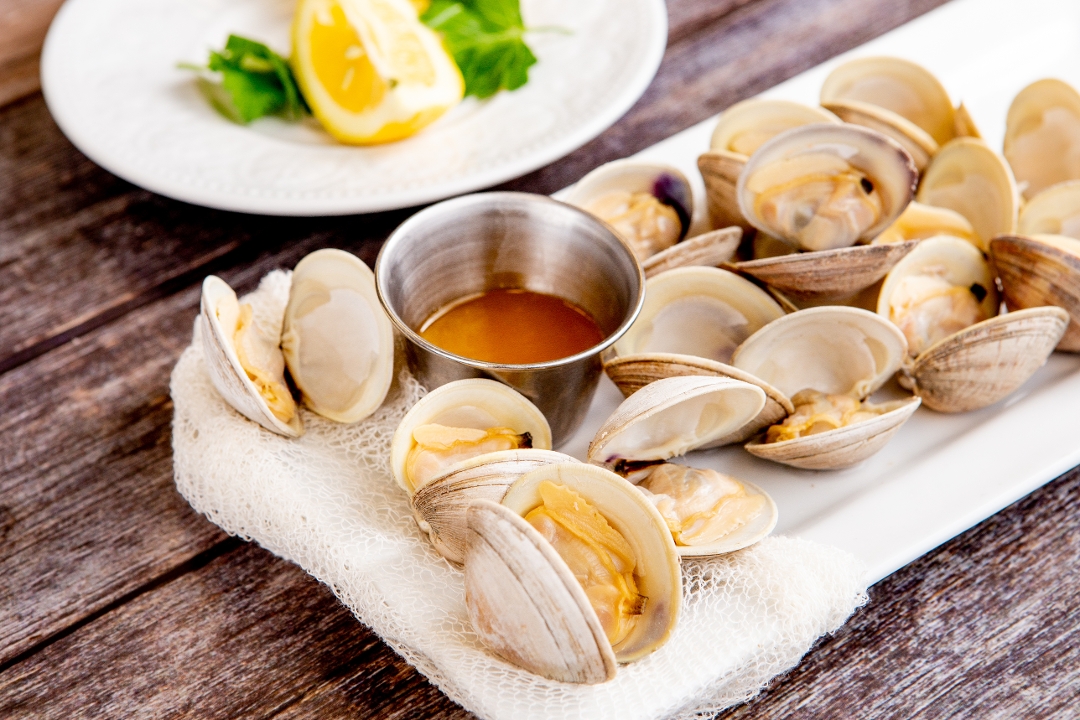 Order Fresh Little Neck Clams food online from Captain’s Curbside Seafood store, Trappe on bringmethat.com