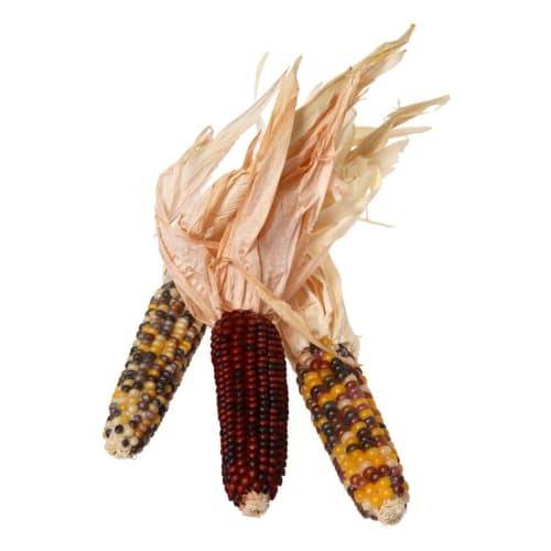 Order Indian Corn Bunched (1 ct) food online from Winn-Dixie store, Zachary on bringmethat.com
