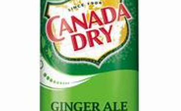 Order GINGER ALE food online from Coromandel store, New Rochelle on bringmethat.com