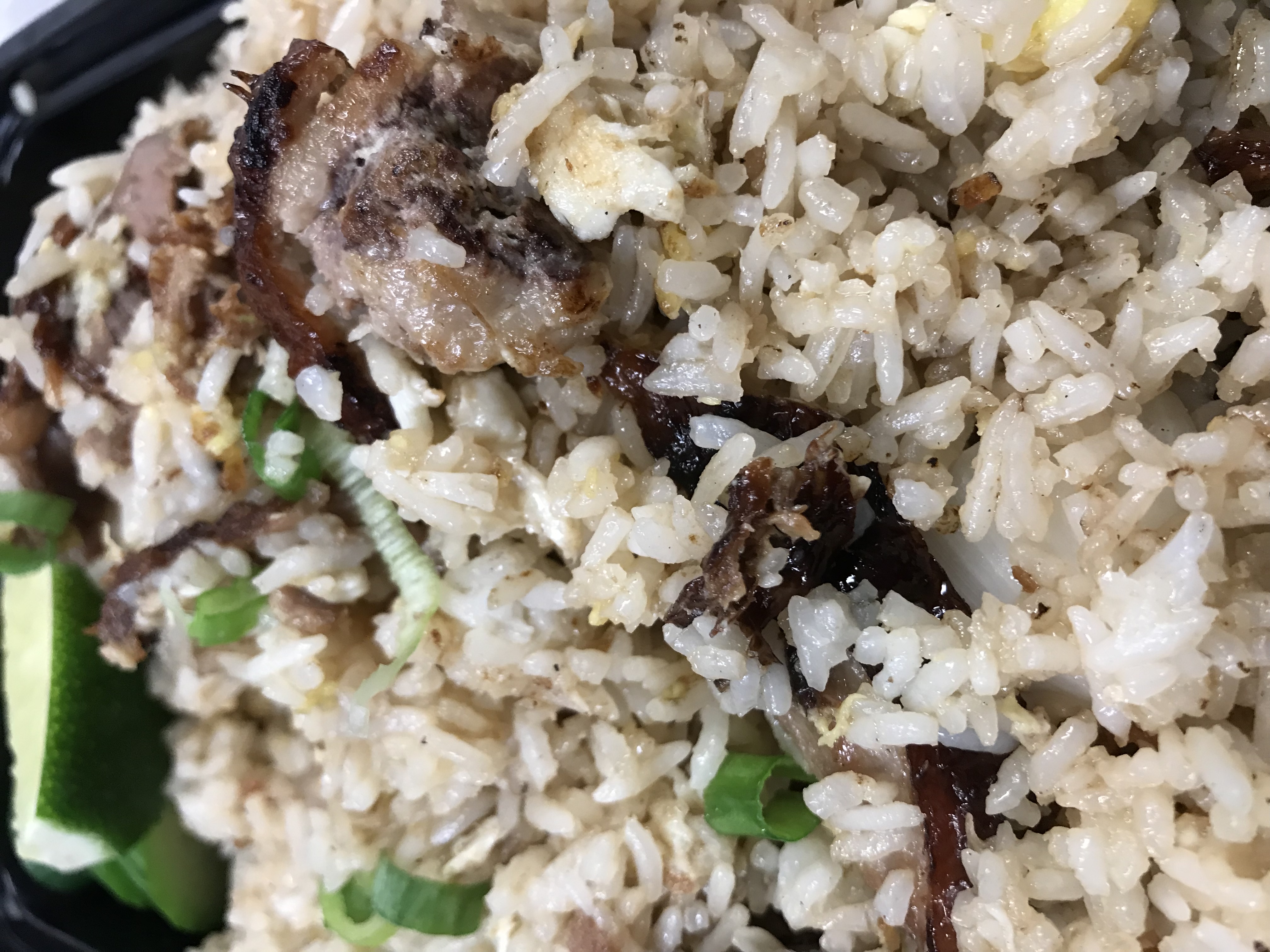 Order Duck Fried Rice food online from Noodle Monster store, Valley Village on bringmethat.com