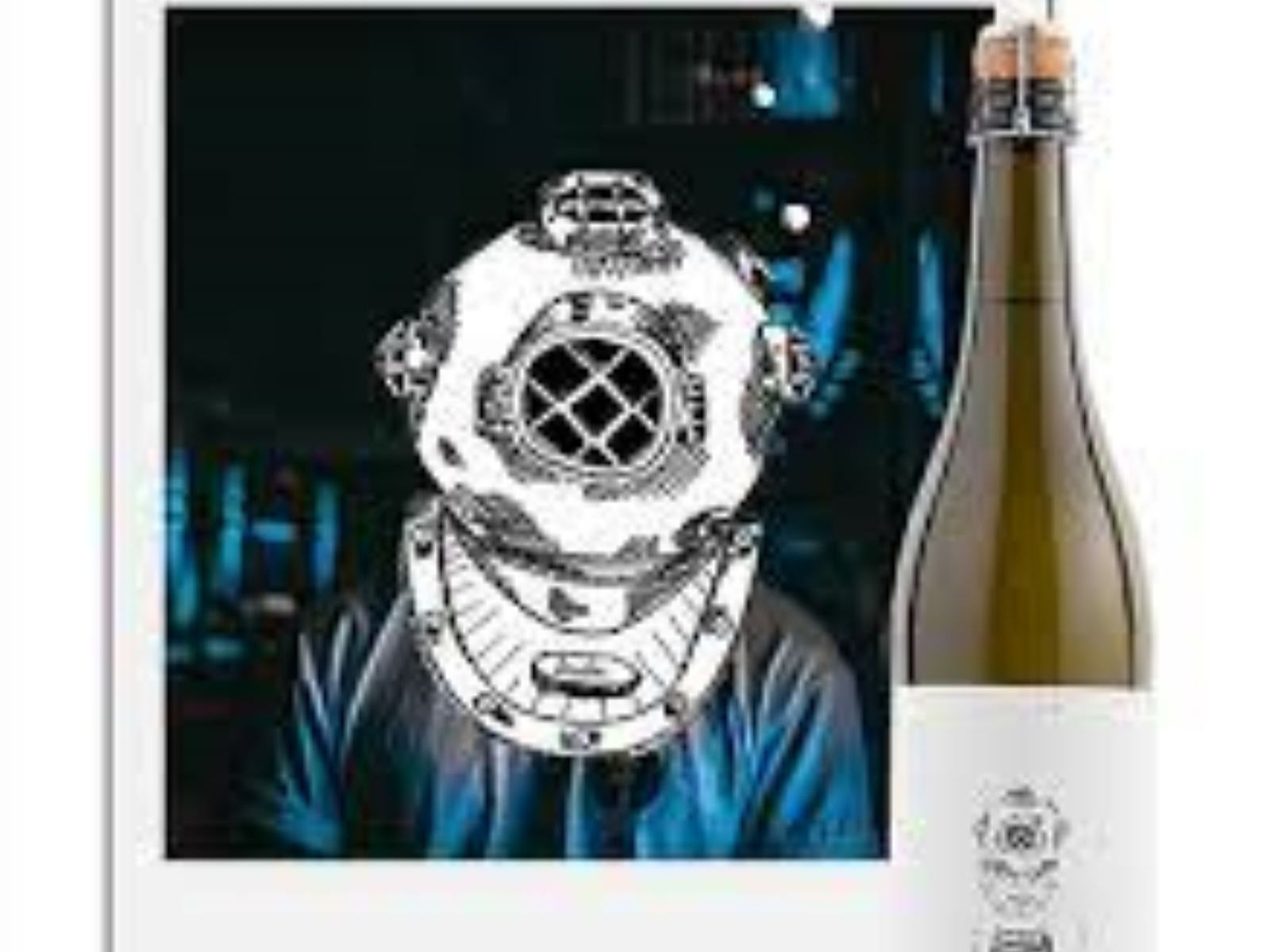 Order The Diver Brut food online from Passage to India store, Cambridge on bringmethat.com