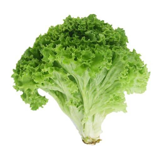 Order Organic Green Leaf Lettuce food online from Albertsons Express store, Kennewick on bringmethat.com