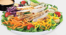 Order Grilled Chicken Salad food online from Cozy Lounge store, Bryn Mawr on bringmethat.com