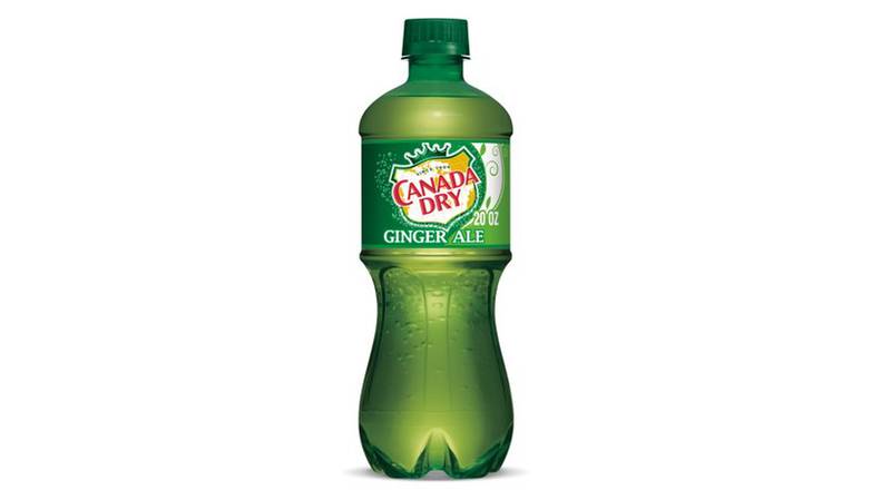 Order Canada Dry Ginger Ale food online from Red Roof Market store, Lafollette on bringmethat.com