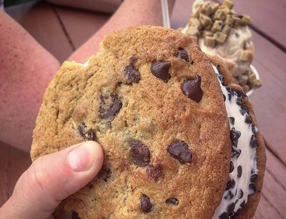 Order Monster Chocolate Chip Ice Cream Cookie Sandwich food online from Joe's Dairy Bar store, Hopewell Jct on bringmethat.com