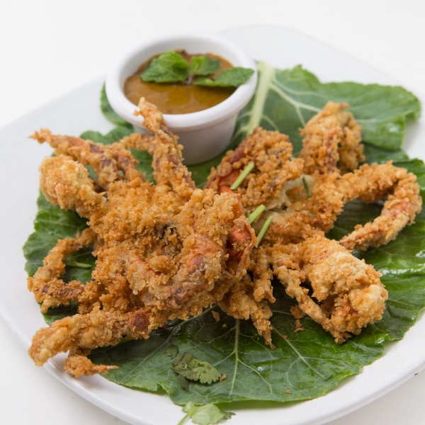 Order CK15. Crispy Soft Shell Crab (No Rice) food online from Dokbua Thai Kitchen store, Brookline on bringmethat.com