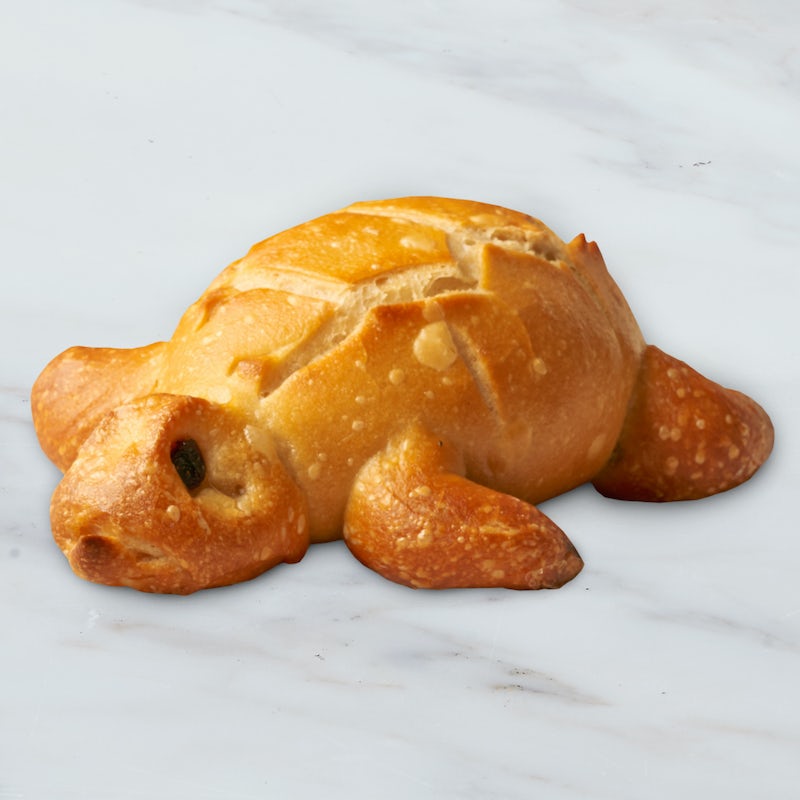 Order Baby Turtle food online from Boudin Sourdough Bakery & Cafe store, San Francisco on bringmethat.com